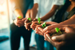 Social impact in CyC Services